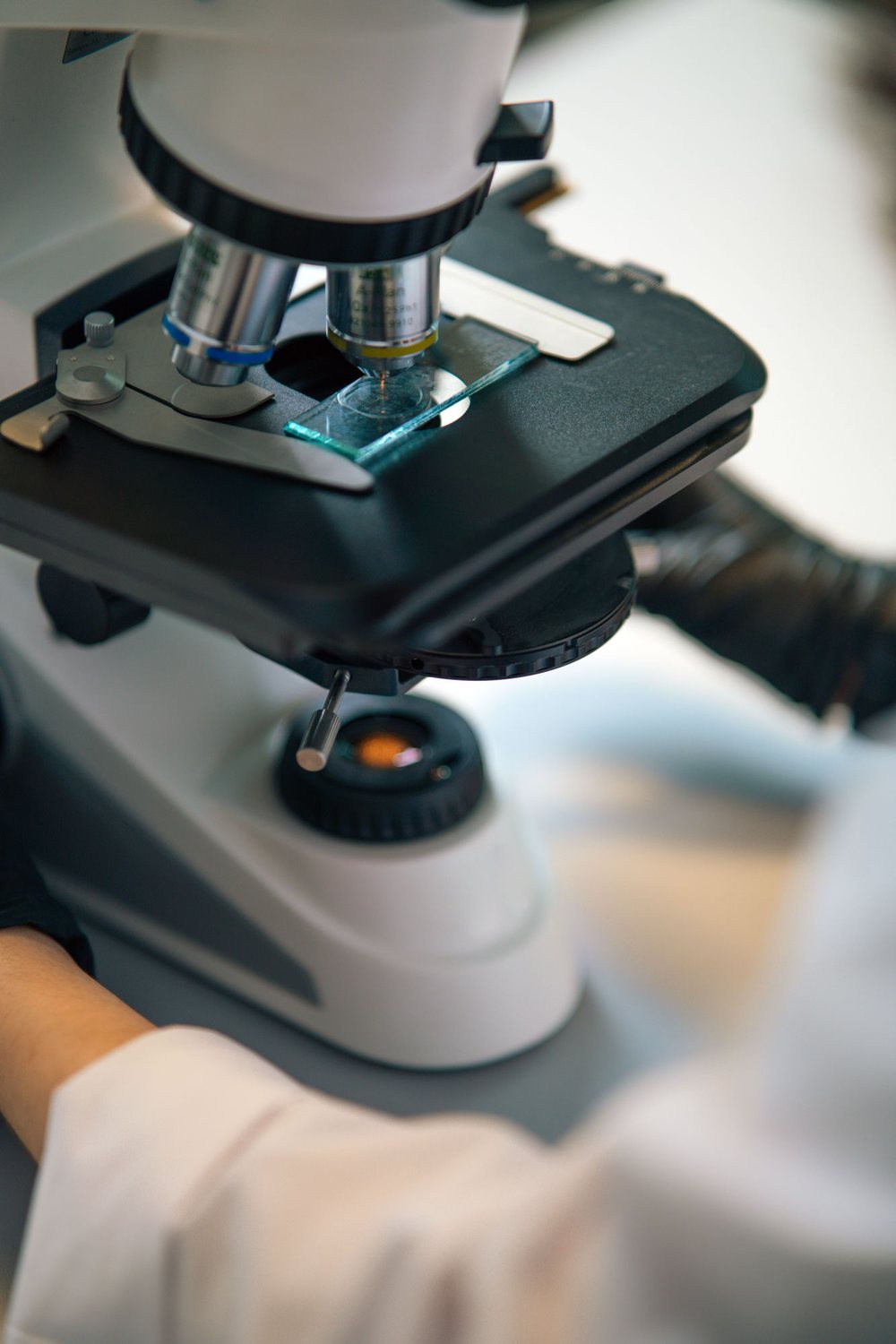 Microscope examining a beer sample in the lab